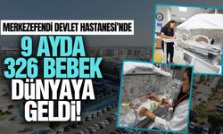 Merkezefendi Devlet Hastanesi'nde 326 bebek dünyaya geldi!