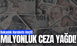 Bakanlık duyurdu: Denetimlerde rekor ceza yağdı!