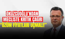Öküzcüoğlu’ndan üzüm fiyatları için çağrı: “Üzümü uçurmamız gerekiyor”