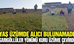 Sarıgöl'de fiyat belirsizliği üreticiyi vurdu