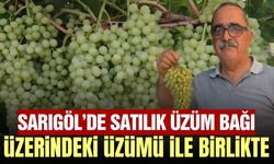 Sarıgöl'de eşi görülmemiş satış! Bağ üzerindeki üzümü ile birlikte satılık