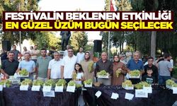 Sarıgöl’de Festival Heyecanı Zirveye Çıkıyor: Yarışmalar ve Muhteşem Konser