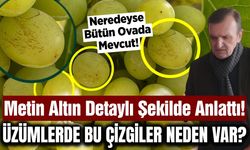 Sarıgöllü üzümcüler ne olduğunu ve neden olduğunu merak ediyordu! Altın yanıtladı