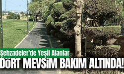 Şehzadeler'de yeşil alanlara düzenli bakım!