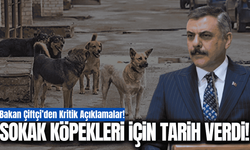 Bakan Çiftçi'den dikkat çeken açıklamalar: Sokak köpekleri için net tarih verdi