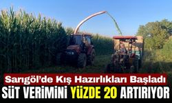 Sarıgöl'de hayvancıların kış hazırlığı başladı!