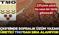 TMO randevu sistemi üzüm üreticilerini mağdur etti: 'Sofralık' yazana randevu yok!