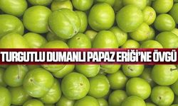 İl Müdürlüğü'nden Turgutlu’nun Dumanlı Papaz Eriği'ne övgü!