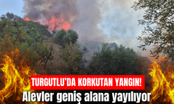 Turgutlu’da orman yangını! Alevler rüzgarın etkisiyle büyüyor