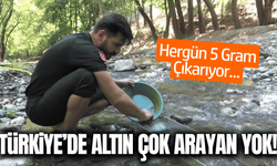 Türkiye’de altın çok arayan yok: Derelerde her gün 5 gram altın çıkarıyorlar