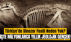 Türkiye’de neden dinozor fosili bulunmuyor?