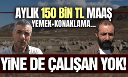 Üretici isyan etti: Aylık 150 bin TL'ye çalışan yok!