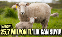 Üreticilere 25,7 milyon TL’lik destek!