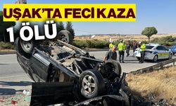 Ege'de otomobil takla attı: 1 ölü