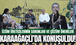 Üzüm üreticilerinin sorunları Karaağaçlı'da masaya yatırıldı