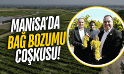 Üzümün başkenti Manisa'da Bağ Bozumu Şenlikleri başladı
