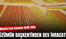 Manisa’nın kuru üzümünde ihracat sezonu sona erdi! Rakamlar belli oldu