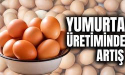 TÜİK verileri açıkladı: Sektörde ivme devam ediyor