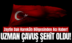 Zeytindalı harekat bölgesinde rahatsızlanan asker şehit oldu