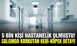 5 bin kişiyi hastanelik eden salgın büyüyor!
