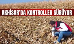 Akhisar’da Mısır ve Pamuk Hasadında Saha Kontrolleri Sürüyor