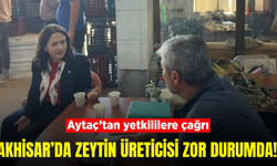 Aytaç’tan Akhisar’da zeytin üreticisi için destek çağrısı