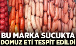 Bakanlık açıkladı: Bu markada domuz eti tespit edildi