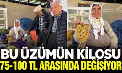 Koçak üzümü tezgahlarda!
