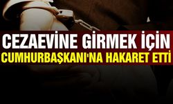 Cezaevine girmek için Cumhurbaşkanı'na hakaret etti
