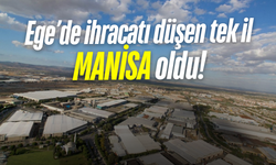 Manisa, Ege Bölgesi’nde ihracatı düşen tek il oldu