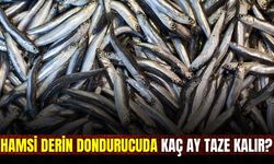 Hamsi severler dikkat: Dondurucuda ne kadar süre kalmalı?