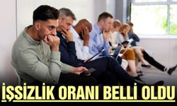 İşsizlik oranı yükselişe geçti