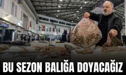 İzmir’de balık bereketi: Palamut tezgahların yıldızı oldu