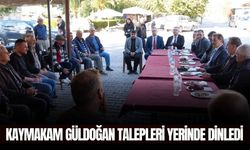 Salihli Kaymakamı Ali Güldoğan’dan mahalle ziyaretleri