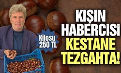 Kışın habercisi Demirci kestanesi tezgahta yerini aldı!