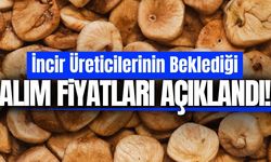 Kuru incir alım fiyatları açıklandı