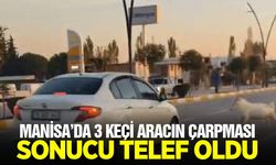 Manisa'da feci kaza: 3 keçi telef oldu