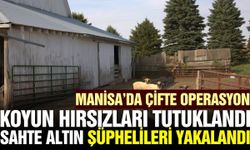 Manisa'da koyun çalan 2 kişi tutuklandı!