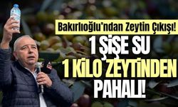 Manisa'da zeytin üreticisi sitem etti: 'Zeytin sudan ucuz'