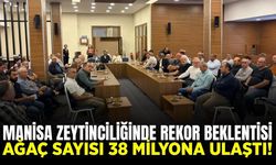 Manisa zeytinciliğinde rekor yılı: Hedef küresel rekabet!