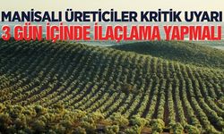 Manisa'da üreticilere uyarı: 3 gün içinde ilaçlama yapılmalı