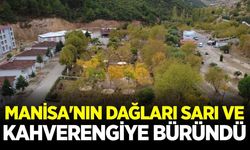 Manisa'da sonbaharın renk cümbüşü