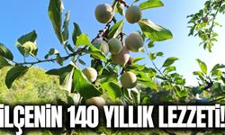 Manisa'nın eşsiz lezzeti: Güneşte kurutuluyor, 12 ay tüketiliyor!
