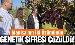 Manisa’nın iki üzüm çeşidinin genetik haritası dünya bilimine açıldı