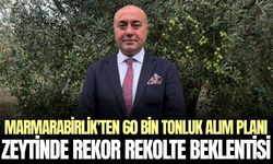 Zeytinde rekor beklentisi, tağşişe ağır ceza talebi