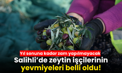 Salihli’de zeytin işçilerinin 2026 yevmiyeleri belli oldu!