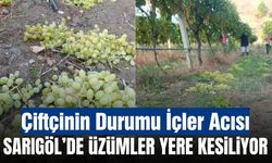 Sarıgöl’de üzüm üreticisinin zor sezonu: Üzümler satılamayınca yere kesiliyor