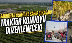 İYİ Parti Sarıgöl'de üzüm üreticileri için buluşacak!