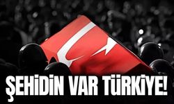 Askeri araç kaza yaptı: Albay Sayit Gökgöz şehit oldu