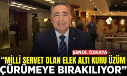 Şenol Özkaya: “Milli servet olan elek altı kuru üzüm çürümeye bırakılıyor”
